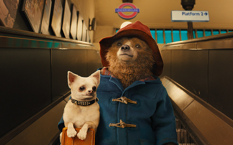 Փադինգթոնը Պերուում ֆիլմի նկարահանումները սկսվել են